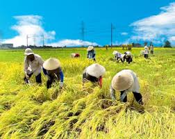 Tổng trấn Bắc thành Nguyễn Văn Thành với việc đắp đê và trị thủy vùng đồng bằng Bắc Bộ vào đầu thế kỷ XIX